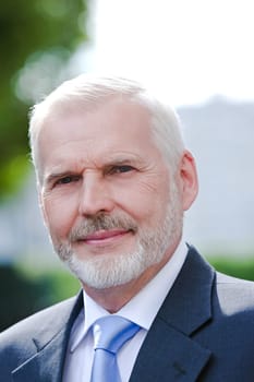 Senior businessman portrait smile positivity