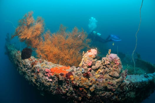 At the shipwreck