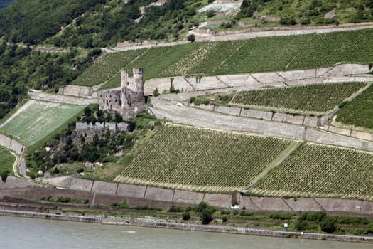 Ehrenfels Castle Ruins Rüdesheim