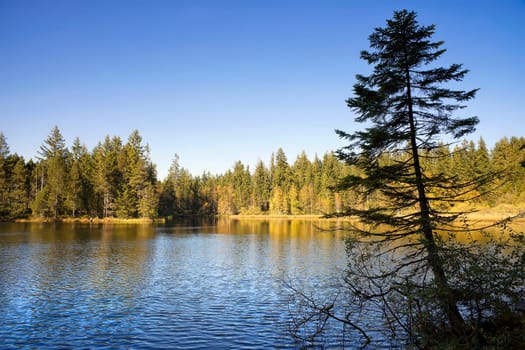 Etang de la Grurère