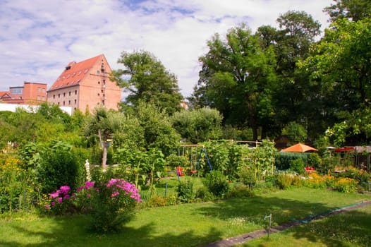 Park,garden,allotment,garden