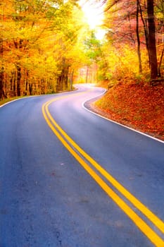 Winding road