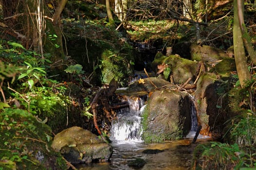 Stream