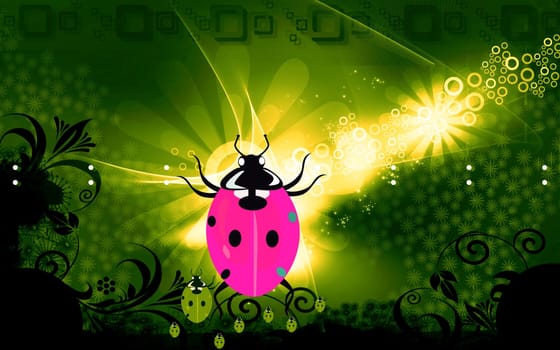 An insect