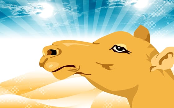 Camel