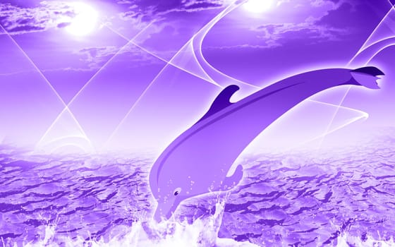 dolphin