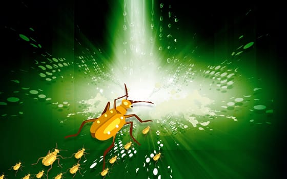 A wild bug