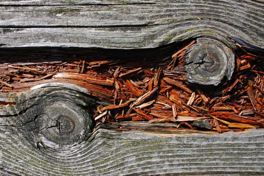 Old Board