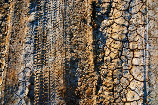 Tracks on the beach