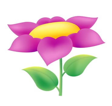 purple flower