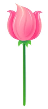 pink flower