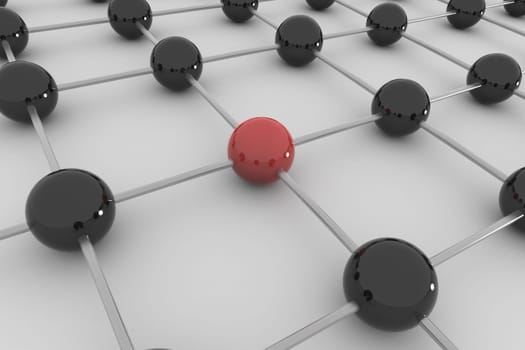 Network 3D