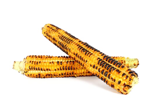 Grilled sweet corn cob isolated on white