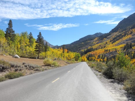 autumn road