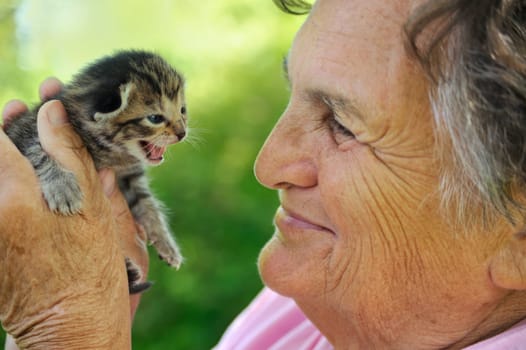 Senior woman holding little kitten