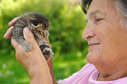 Senior woman holding little kitten
