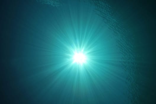 In the ocean...