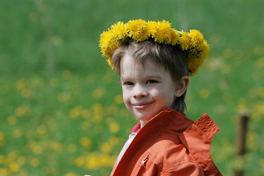 Boy in dandelion meadow.
