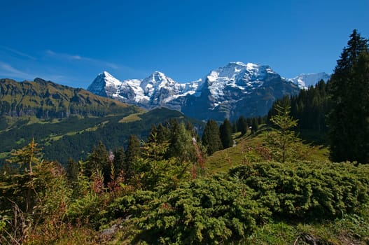 Jungfrau Massif III