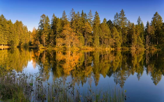Etang de la Grurère