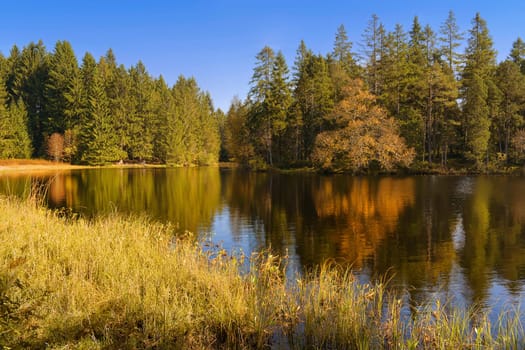 Etang de la Grurère