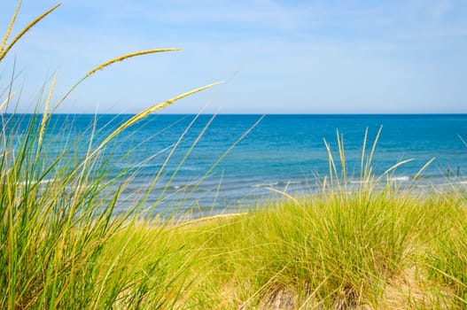 Sand dunes at beach