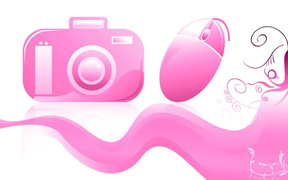 Mouse and camera