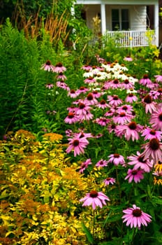 Residential garden landscaping