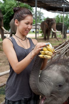 Girl feeding elephant