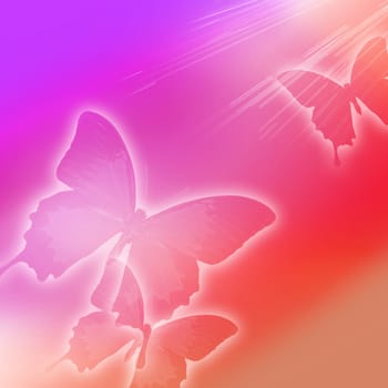 butterfly