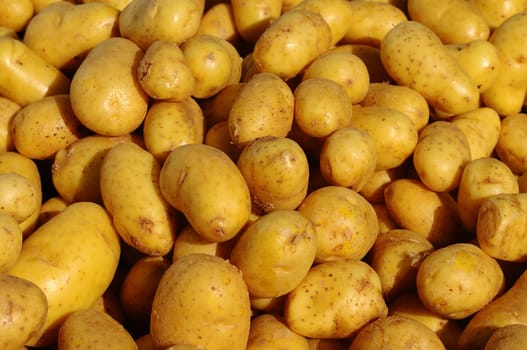 Potatoes