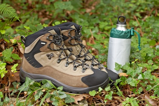 Hiking boots
