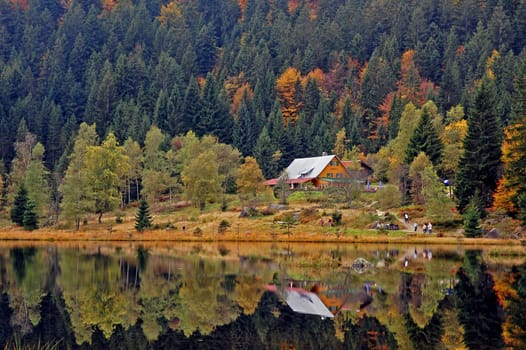 Autumn Landscape