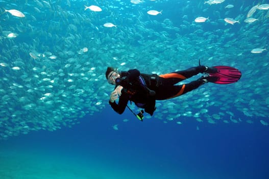 Female diver in front of a school of jackfish