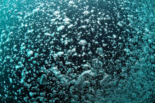 Bubbles