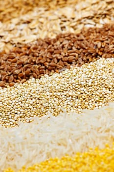 Various grains close up