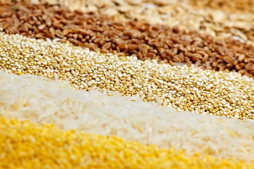 Various grains close up