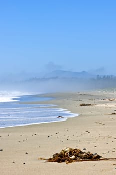 Coast of Pacific ocean in Canada