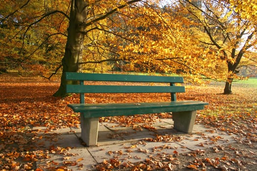 Park bench in autumnal park
