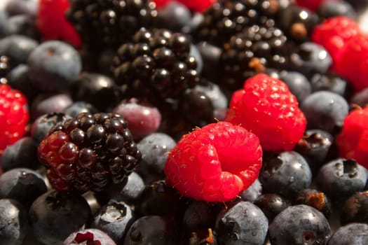 Raspberries,blueberries and blackberries