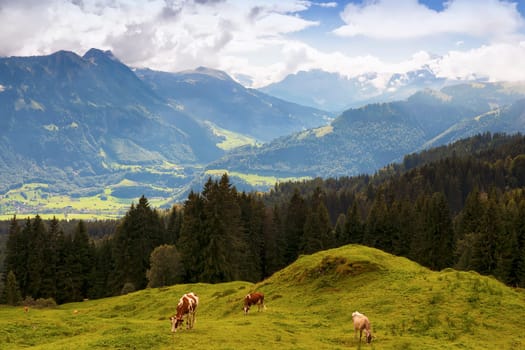 Glaubenberg Pass