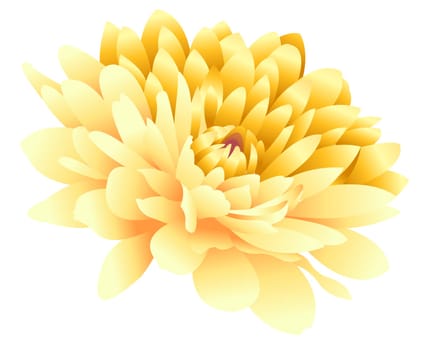 yellow flower
