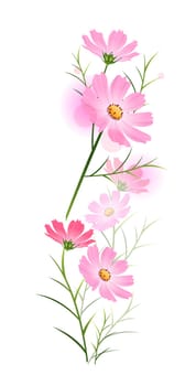 pink flower