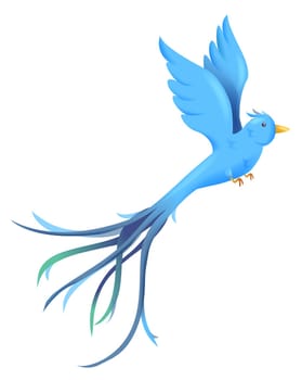 blue bird