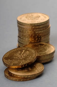 polish money