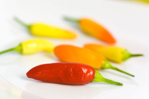 Chili