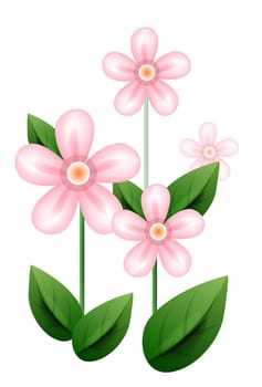 pink flower