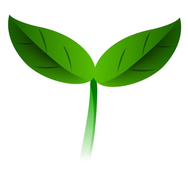 green seeding