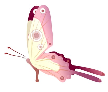 butterfly