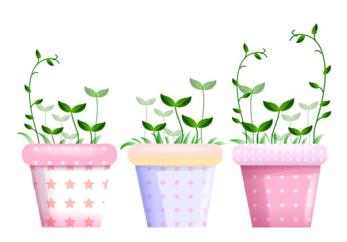 Flowerpots and leaf